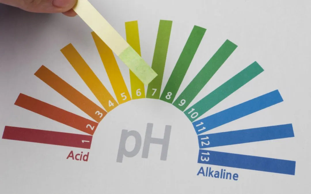 ¿Qué es el pH?
